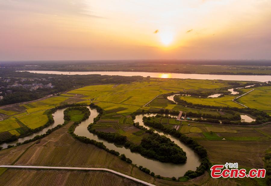 Aerial view shows the Sanshiliuquxi (36-bend stream) wetland in Yunlong Town, Haikou City, Hainan Province, April 28, 2019. Known for its rich flora and fauna as well as river bends, the wetland park will cover an area of 316.7 hectares, according to plans. (Photo: China News Service/Luo Yunfei)
