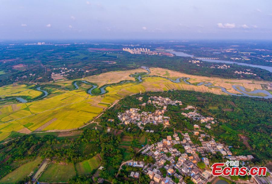 Aerial view shows the Sanshiliuquxi (36-bend stream) wetland in Yunlong Town, Haikou City, Hainan Province, April 28, 2019. Known for its rich flora and fauna as well as river bends, the wetland park will cover an area of 316.7 hectares, according to plans. (Photo: China News Service/Luo Yunfei)