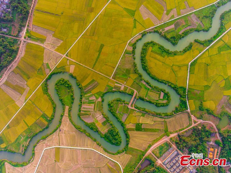 Aerial view shows the Sanshiliuquxi (36-bend stream) wetland in Yunlong Town, Haikou City, Hainan Province, April 28, 2019. Known for its rich flora and fauna as well as river bends, the wetland park will cover an area of 316.7 hectares, according to plans. (Photo: China News Service/Luo Yunfei)