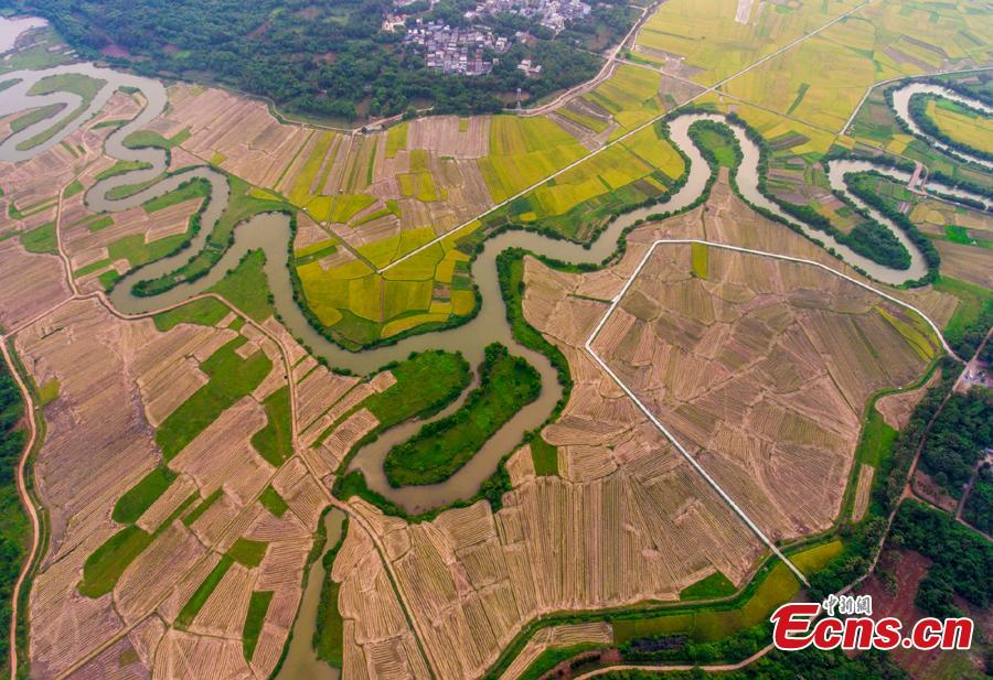 Aerial view shows the Sanshiliuquxi (36-bend stream) wetland in Yunlong Town, Haikou City, Hainan Province, April 28, 2019. Known for its rich flora and fauna as well as river bends, the wetland park will cover an area of 316.7 hectares, according to plans. (Photo: China News Service/Luo Yunfei)