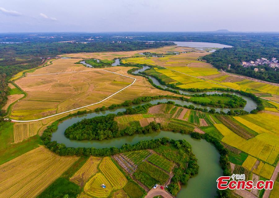 Aerial view shows the Sanshiliuquxi (36-bend stream) wetland in Yunlong Town, Haikou City, Hainan Province, April 28, 2019. Known for its rich flora and fauna as well as river bends, the wetland park will cover an area of 316.7 hectares, according to plans. (Photo: China News Service/Luo Yunfei)