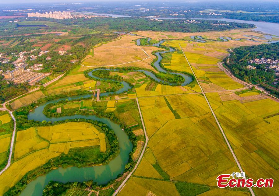 Aerial view shows the Sanshiliuquxi (36-bend stream) wetland in Yunlong Town, Haikou City, Hainan Province, April 28, 2019. Known for its rich flora and fauna as well as river bends, the wetland park will cover an area of 316.7 hectares, according to plans. (Photo: China News Service/Luo Yunfei)