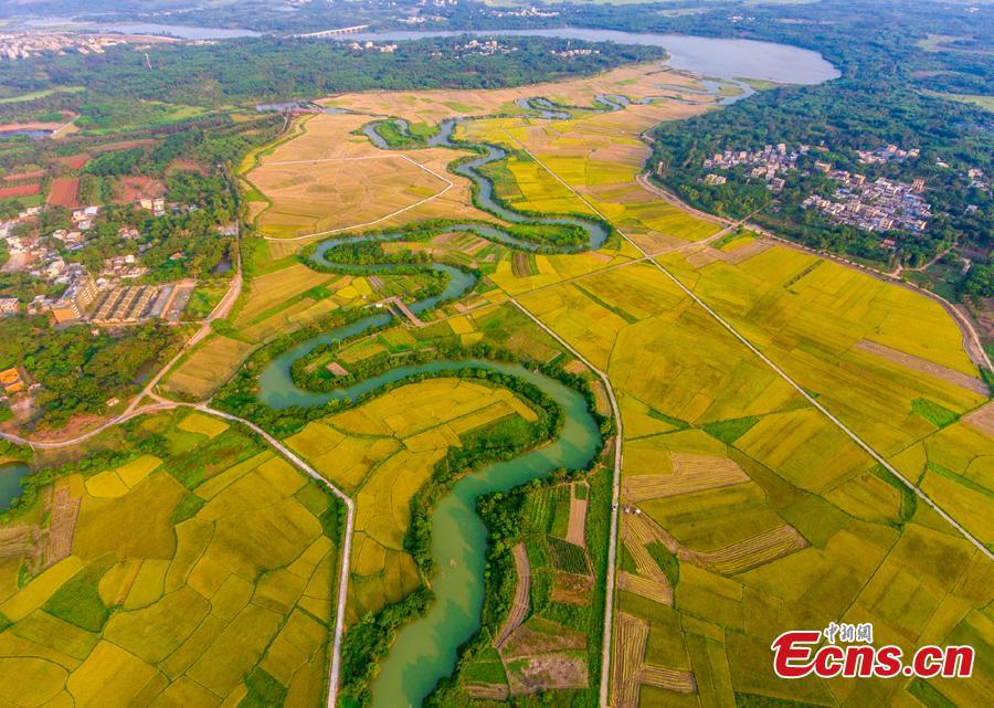Aerial view shows the Sanshiliuquxi (36-bend stream) wetland in Yunlong Town, Haikou City, Hainan Province, April 28, 2019. Known for its rich flora and fauna as well as river bends, the wetland park will cover an area of 316.7 hectares, according to plans. (Photo: China News Service/Luo Yunfei)