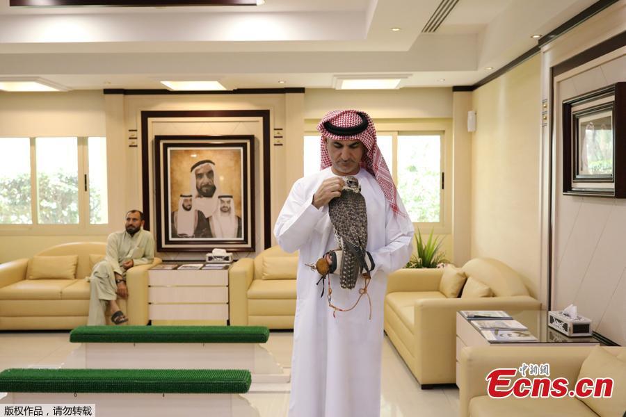 An Emirati man arrives with his falcon at the Abu Dhabi Falcon Hospital in Abu Dhabi, United Arab Emirates April 28, 2019. When a falcon in the Gulf Arab countries falls sick, the owners of these expensive hunting birds will take them to the world\'s largest falcon hospital in Abu Dhabi. (Photo/Agencies)