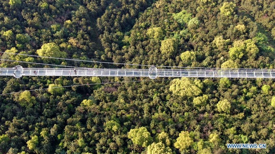 Aerial photo taken on May 4, 2019 shows tourists walking on a glass bridge at the Huaxi World Adventure Park in Huaxi Village of Jiangyin City, east China\'s Jiangsu Province. The 518-meter-long glass bridge hangs more than 100 meters above ground level at the park. It is made of panes of 35-mm-thick glass. Each glass can hold a maximum weight of 4.7 tonnes. Around 2,600 people can cross the bridge at a time. (Xinhua/Xu Congjun)