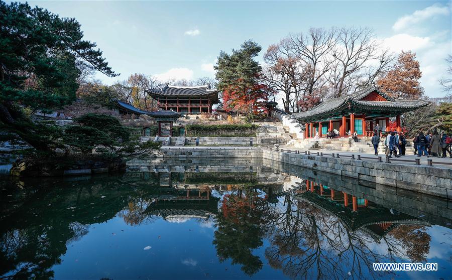 Photo taken on Nov. 13, 2018 shows the Changdeokgung Palace in Seoul, South Korea. China will hold the Conference on Dialogue of Asian Civilizations starting from May 15. Under the theme of \