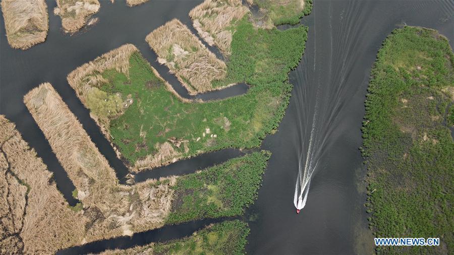 Aerial photo taken on April 25, 2019 shows the Baiyangdian lake in Xiongan New Area, north China\'s Hebei Province. (Xinhua/Zhu Xudong)