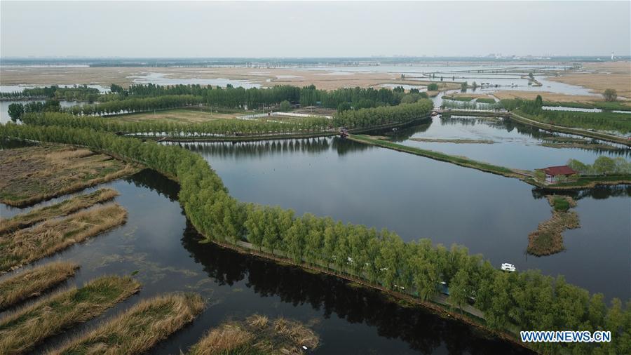 Aerial photo taken on April 25, 2019 shows the Baiyangdian lake in Xiongan New Area, north China\'s Hebei Province. (Xinhua/Zhu Xudong)