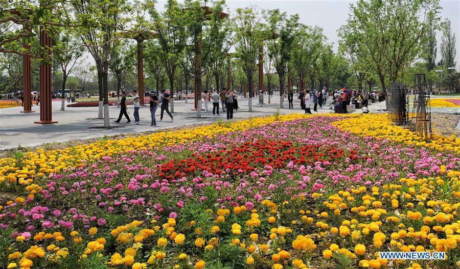 Tourists visit the Beijing International Horticultural Exhibition in Yanqing District of Beijing, capital of China, May 10, 2019. The Beijing International Horticultural Exhibition has welcomed a large number of tourists from home and abroad since the opening. As of May 9, it has seen more than 500,000 visitors, according to the Beijing International Horticultural Exhibition Coordination Bureau. (Xinhua/Li Xin)