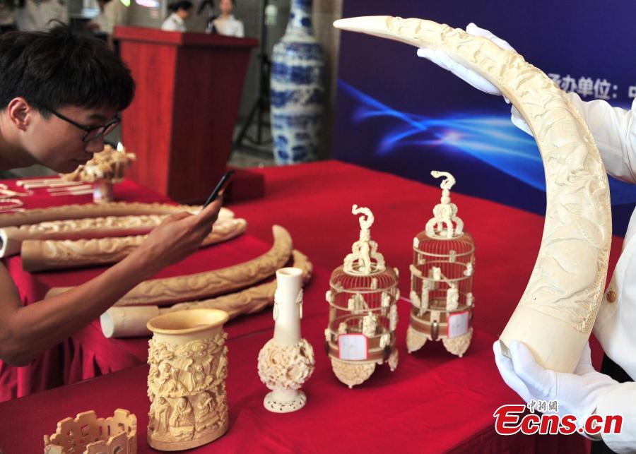 Ivory products seized by Hangzhou Customs before their handover to forestry authorities in Hangzhou City, East China\'s Zhejiang Province, May 14, 2019. Hangzhou Customs showcased endangered species and wildlife products weighing 863.69 kilograms. (Photo: China News Service/Zhang Yin)
