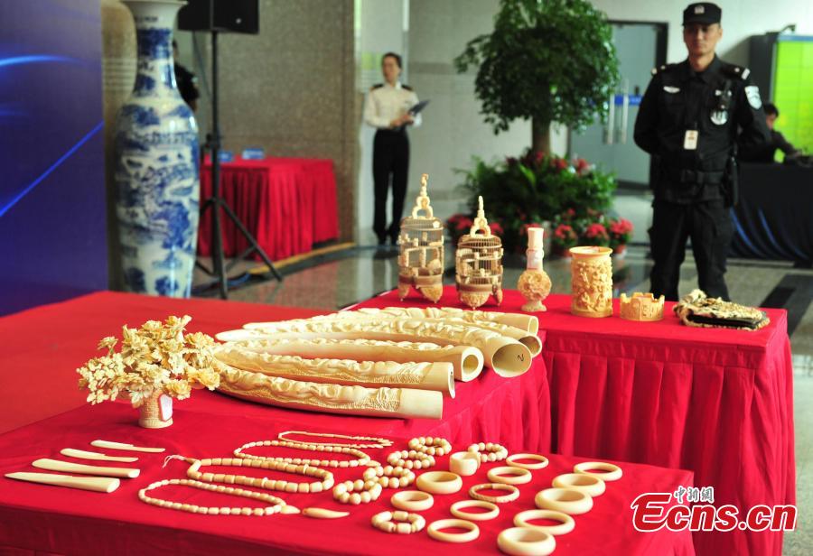 Ivory products seized by Hangzhou Customs before their handover to forestry authorities in Hangzhou City, East China\'s Zhejiang Province, May 14, 2019. Hangzhou Customs showcased endangered species and wildlife products weighing 863.69 kilograms. (Photo: China News Service/Zhang Yin)