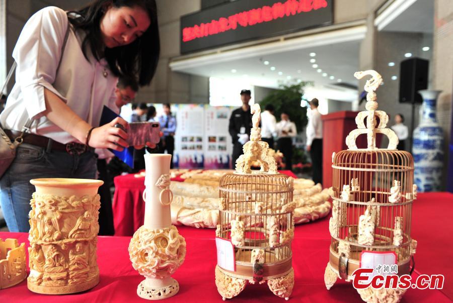 Ivory products seized by Hangzhou Customs before their handover to forestry authorities in Hangzhou City, East China\'s Zhejiang Province, May 14, 2019. Hangzhou Customs showcased endangered species and wildlife products weighing 863.69 kilograms. (Photo: China News Service/Zhang Yin)