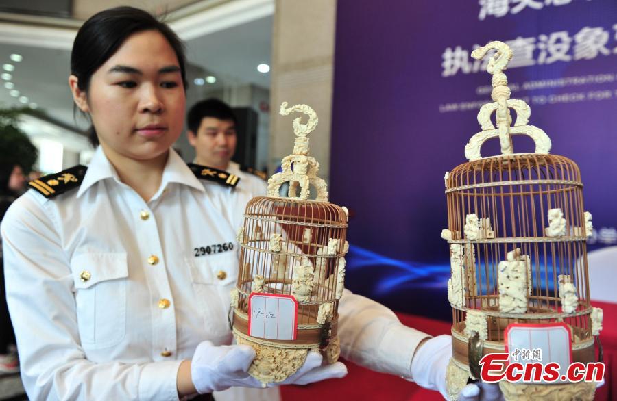 Photo taken on May 14, 2019 shows ivory products seized by Hangzhou Customs before their handover to forestry authorities in Hangzhou City, East China\'s Zhejiang Province. Hangzhou Customs showcased endangered species and wildlife products weighing 863.69 kilograms. (Photo: China News Service/Zhang Yin)