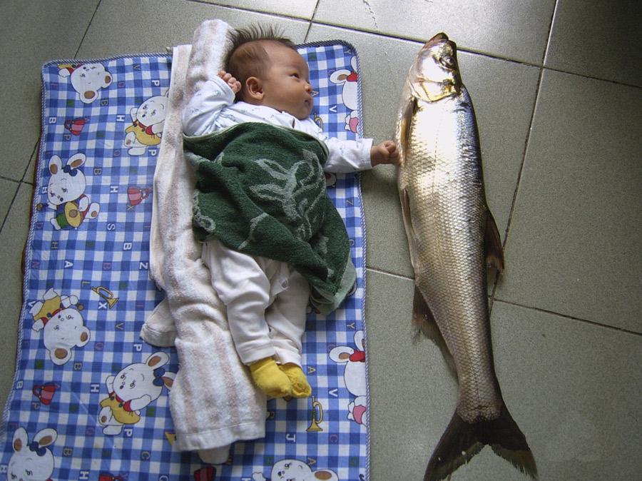 A baby poses with a giant croaker caught by his father at Thousand Island Lake near Hangzhou.  (Photo provided to China Daily)
The festival will also present an exhibition of technology and food, demonstrating the achievements of Hangzhou\'s digital economy and highlighting its urban development. A collection of food imbued with elements of the Olympic and Asian Games will also be displayed. Chefs, athletes and sports nutrition experts from Asian cities will be invited to share their ideas and theories on healthy eating and discuss the relationship between sports and a healthy diet while promoting the Asian Games and Asian Cuisine Festival.

If you go

Taste of Asia photo exhibition Through May 22, Museum of the Qiantang River, Hangzhou.