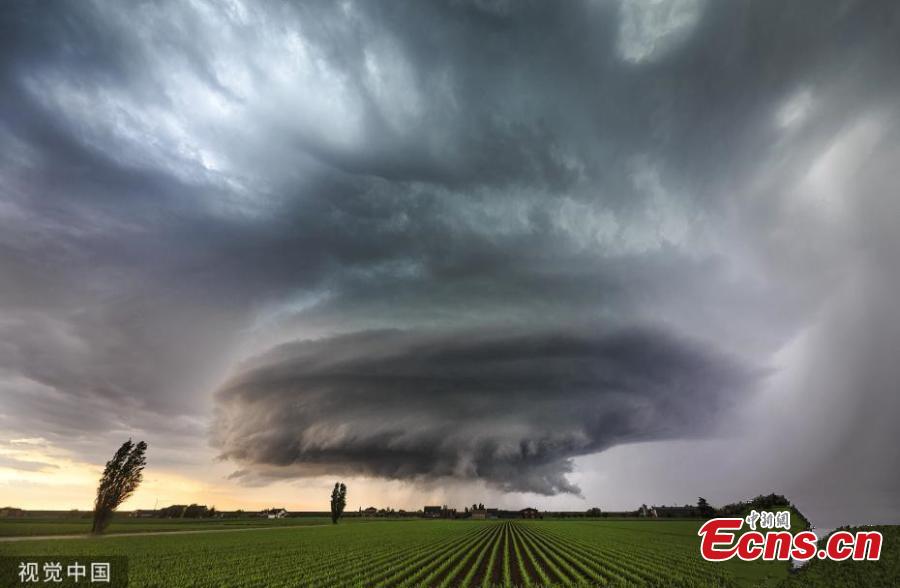 Electric-blue clouds hover above ploughed fields in Montagnana, Italy, taking on the shape of a spaceship, as a storm begins to develop. Photographer Marko Korosec, 37, said it was the most impressive formation he has ever seen in Europe after 20 years of chasing storms across the world. (Photo/VCG)