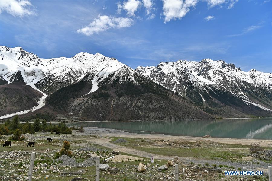 Photo taken on May 18, 2019 shows scenery near the Ra\'og Lake in Qamdo, southwest China\'s Tibet Autonomous Region. (Xinhua/Li Xin)