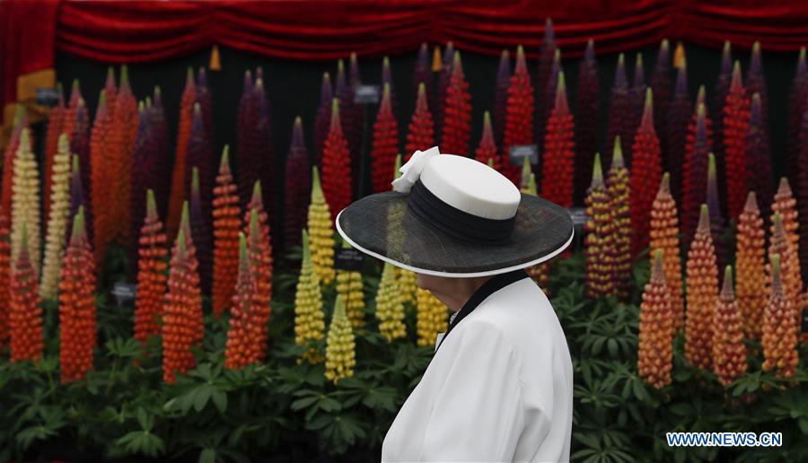 A woman visits the RHS (Royal Horticultural Society) Chelsea Flower Show press day in London, Britain on May 20, 2019. The annual RHS Chelsea Flower Show will open to the public here from May 21 to 25. (Xinhua/Han Yan)