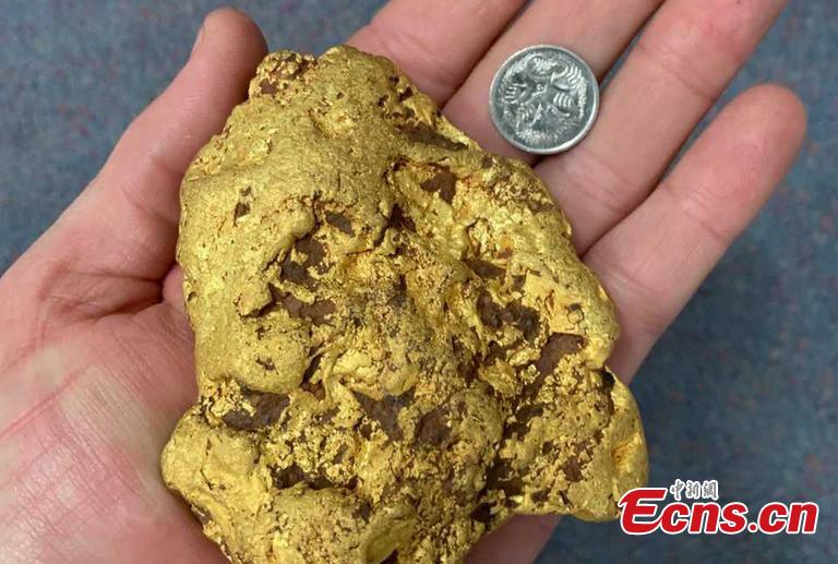 A lucky prospector has struck gold after unearthing a precious and rare find worth almost $69,000. The anonymous prospector couldn\'t believe their good luck when their metal detector uncovered a whopping 1.4 kilogram nugget while hunting for gold in Kalgoorlie in Western Australia\'s Goldfields-Esperance region recently. (Photo/IC)