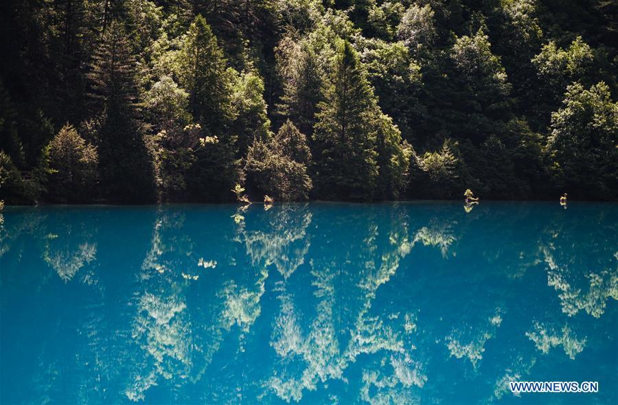 Aerial photo shows a view of Lake Xiniuhai in the Jiuzhaigou National Park in southwest China\'s Sichuan Province, June 5, 2019. Due to damages caused by the magnitude-7.0 earthquake that hit here on Aug. 8, 2017, the park has been temporarily closed since July 2018 for renovation. (Xinhua/Meng Dingbo)