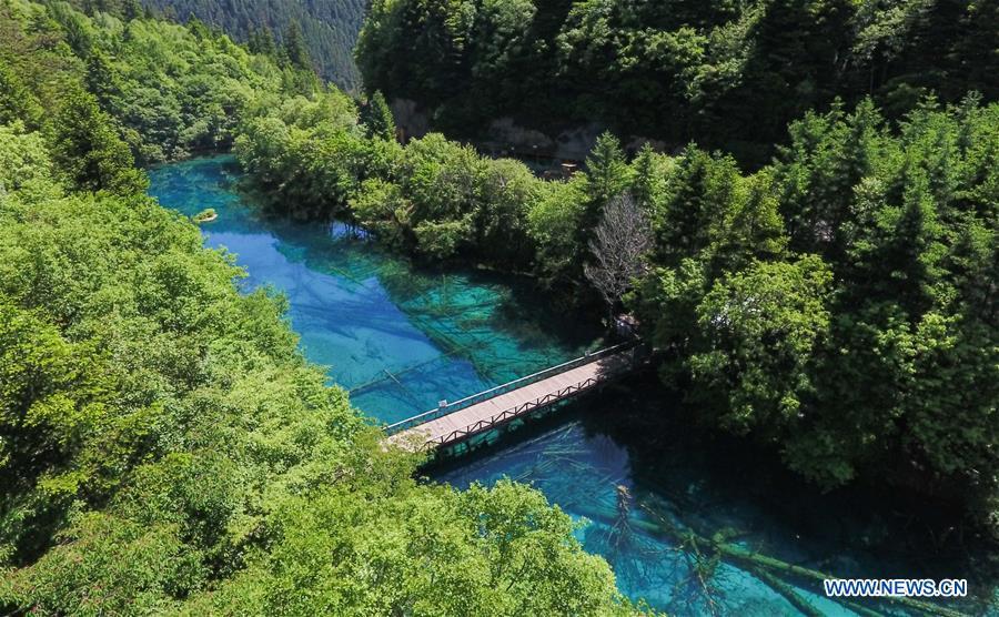 Aerial photo shows a view of Lake Wuhuahai in the Jiuzhaigou National Park in southwest China\'s Sichuan Province, June 5, 2019. Due to damages caused by the magnitude-7.0 earthquake that hit here on Aug. 8, 2017, the park has been temporarily closed since July 2018 for renovation. (Xinhua/Xue Yubin)