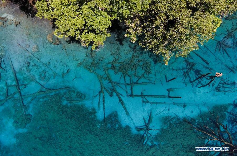Aerial photo shows a view of Lake Wuhuahai in the Jiuzhaigou National Park in southwest China\'s Sichuan Province, June 5, 2019. Due to damages caused by the magnitude-7.0 earthquake that hit here on Aug. 8, 2017, the park has been temporarily closed since July 2018 for renovation. (Xinhua/Xue Yubin)