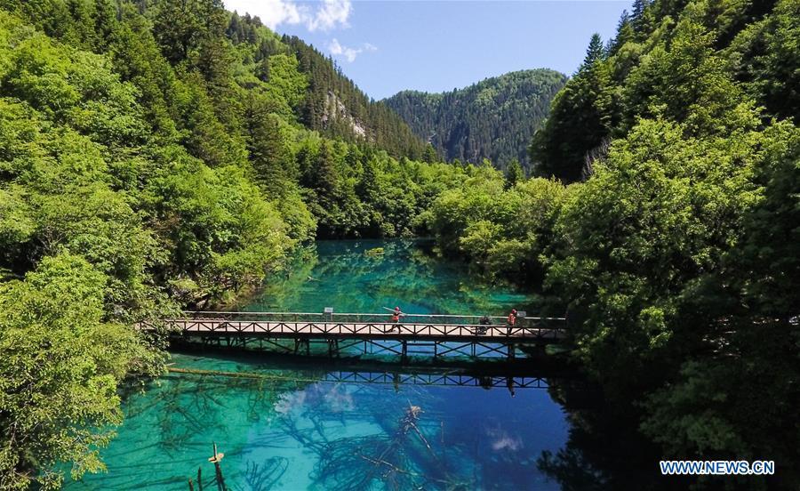 Aerial photo shows a view of Lake Wuhuahai in the Jiuzhaigou National Park in southwest China\'s Sichuan Province, June 5, 2019. Due to damages caused by the magnitude-7.0 earthquake that hit here on Aug. 8, 2017, the park has been temporarily closed since July 2018 for renovation. (Xinhua/Xue Yubin)