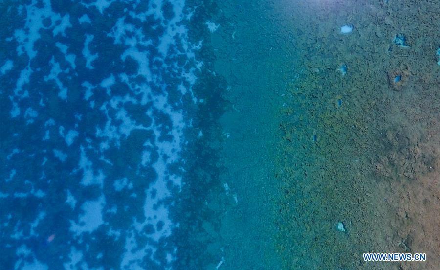 Aerial photo shows a view of Lake Wuhuahai in the Jiuzhaigou National Park in southwest China\'s Sichuan Province, June 5, 2019. Due to damages caused by the magnitude-7.0 earthquake that hit here on Aug. 8, 2017, the park has been temporarily closed since July 2018 for renovation. (Xinhua/Xue Yubin)