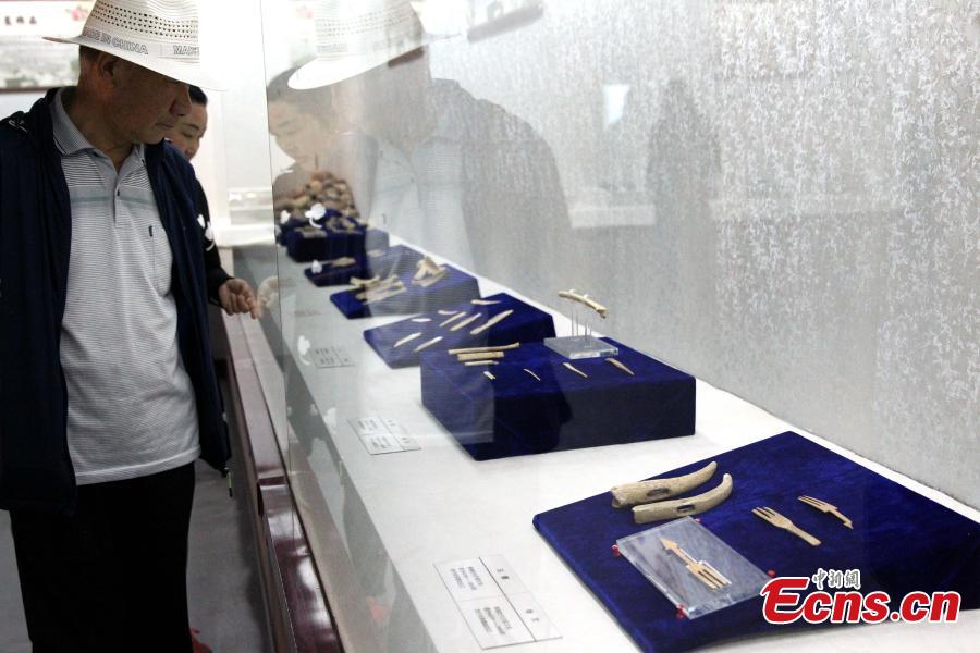 Some 192 artifacts made of stone, bone, pottery and bronze, unearthed from the Shenna site, are on display at an exhibition at the Xining Museum in Xining City, Northwest China’s Qinghai Province, June 12, 2019. Shenna is located on the bank of the Beichuan River in Xining, covering an area of approximately 100,000 square meters. It was home to the Qijia culture approximately 4,000 years ago. (Photo: China News Service/ Zhang Tianfu)