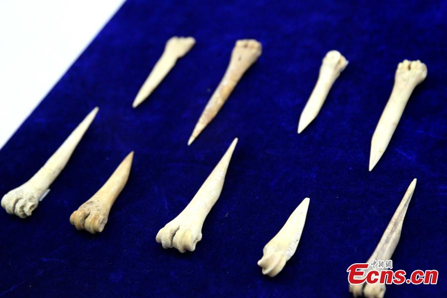 Some 192 artifacts made of stone, bone, pottery and bronze, unearthed from the Shenna site, are on display at an exhibition at the Xining Museum in Xining City, Northwest China’s Qinghai Province, June 12, 2019. Shenna is located on the bank of the Beichuan River in Xining, covering an area of approximately 100,000 square meters. It was home to the Qijia culture approximately 4,000 years ago. (Photo: China News Service/ Zhang Tianfu)