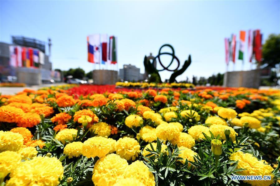 A decorating parterre to greet the fifth summit of the Conference on Interaction and Confidence Building Measures in Asia (CICA) is seen in Tajikistan\'s capital Dushanbe, June 13, 2019. (Xinhua/Sadat)