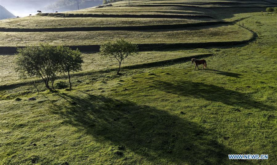 Aerial photo taken on June 13, 2019 shows the view of Guanshan Grassland at Longxian County in Baoji, northwest China\'s Shaanxi Province. (Xinhua/Tao Ming)
