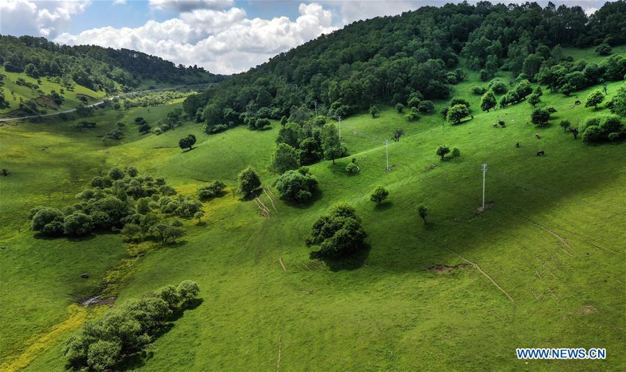 Aerial photo taken on June 12, 2019 shows the view of Guanshan Grassland at Longxian County in Baoji, northwest China\'s Shaanxi Province. (Xinhua/Tao Ming)