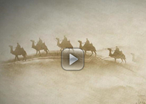 The story of Silk Road