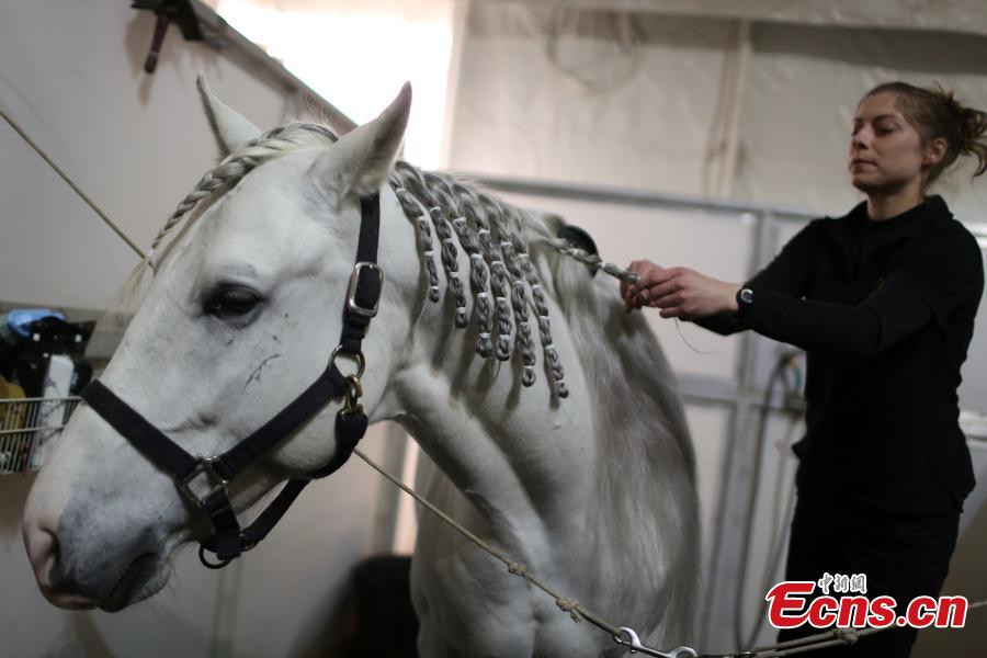 Horse spectacle Cavalia riding to Nanjing