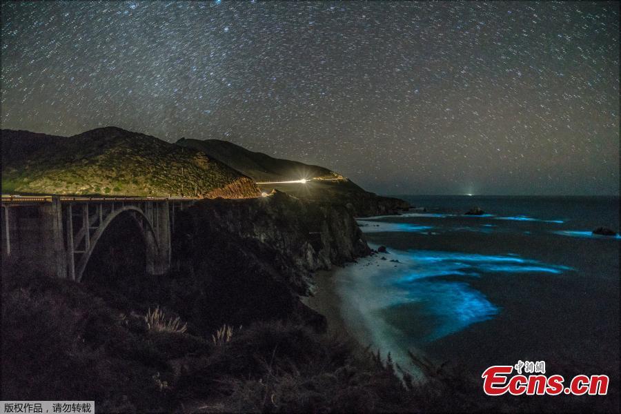 Bioluminescent waves glowing in Big Sur