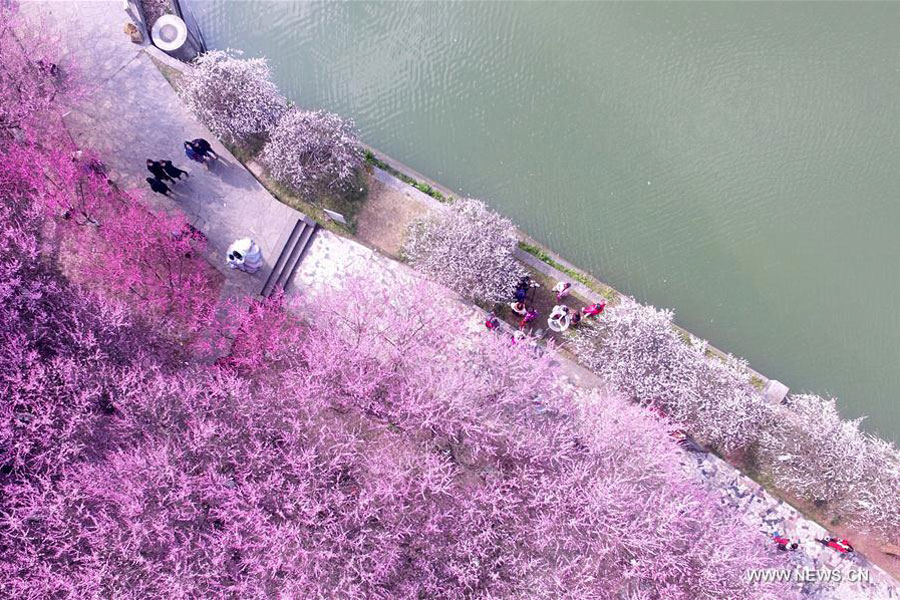 When spring comes