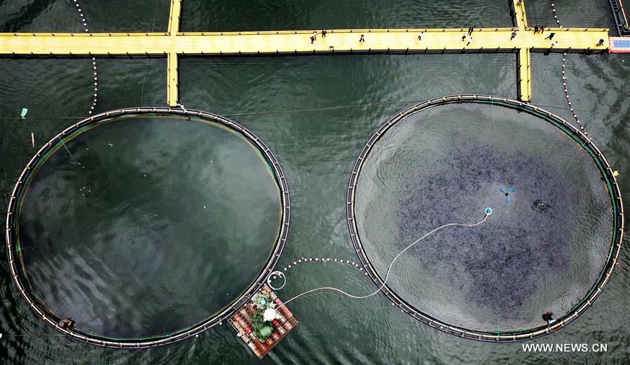 Aerial view of fisheries on Hongshui River, S China's Guangxi