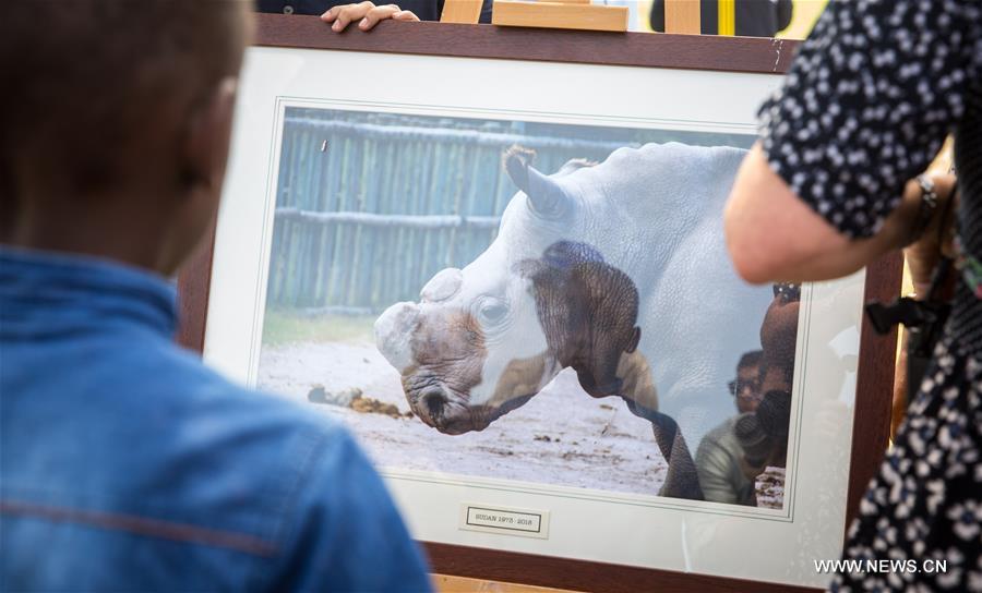 Kenya holds memorial service to honor late male northern white rhino