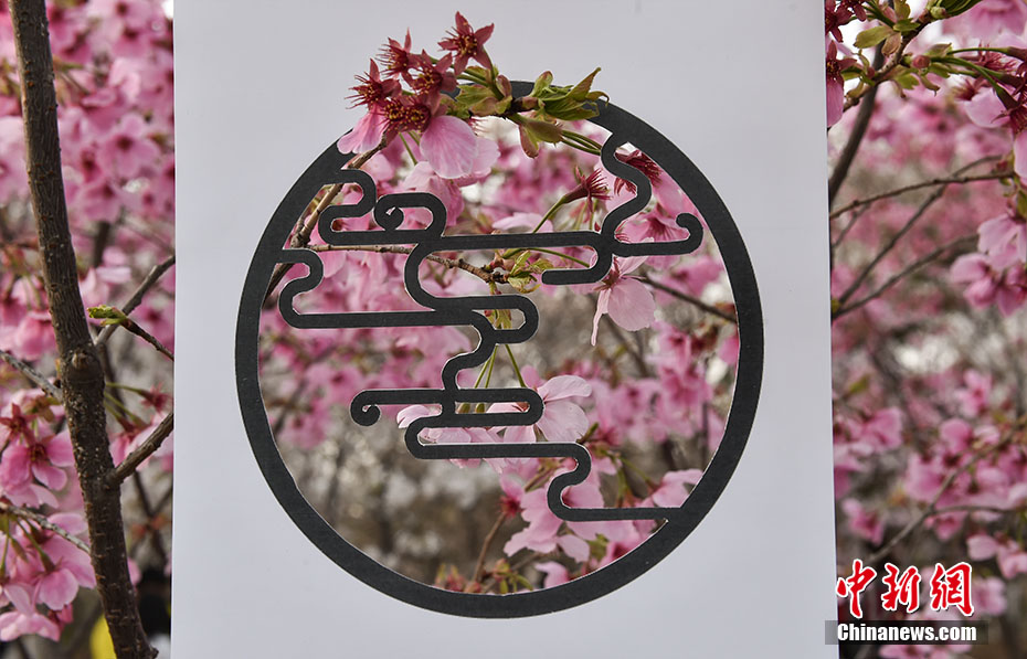 A4 paper adds traditional charm to landscape
