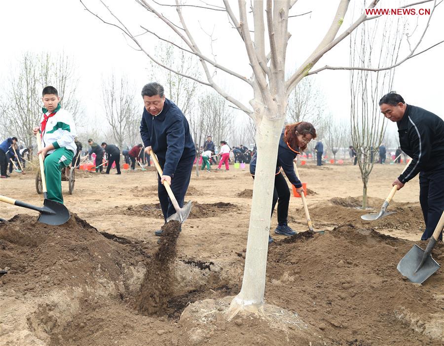 Xi stresses people-centered approach in land greening programs