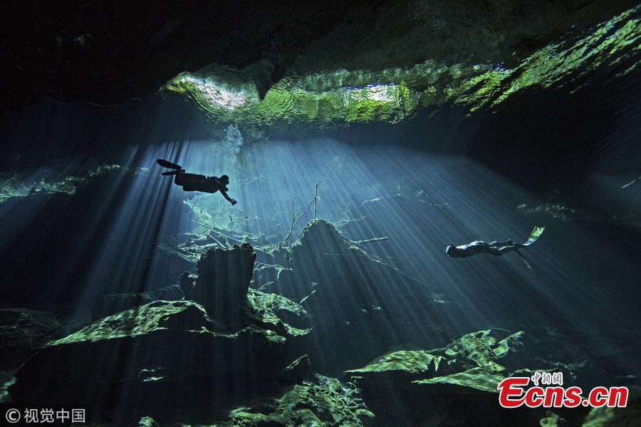 Most amazing underwater pictures in the world revealed