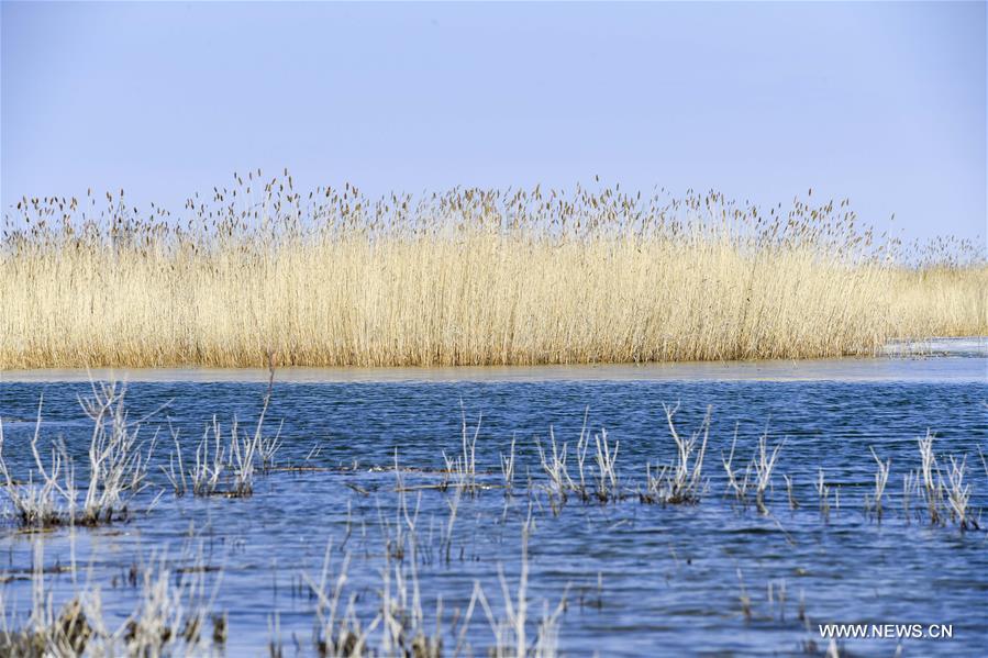 Ulunggur Lake in Fuhai County, NW China