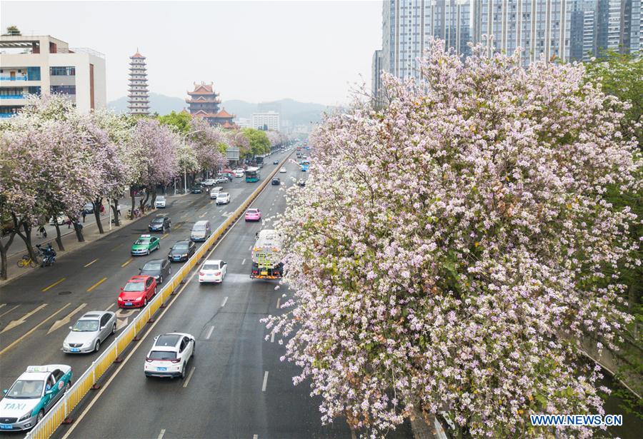 People enjoy spring scenery across China
