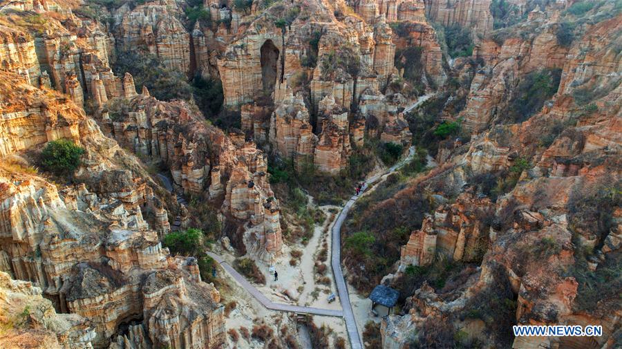 Scenery of earth forest in Yuanmou County, SW China's Yunnan