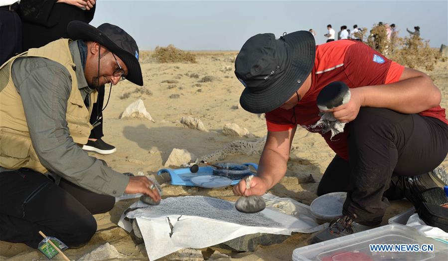 China, Saudi Arabia form joint archaeological team