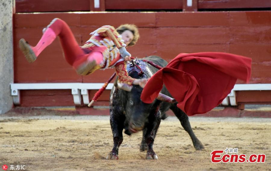 Spanish bullfighter in horrifying moment 