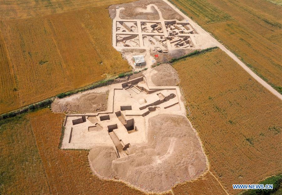 Rice growing spread north in Neolithic age