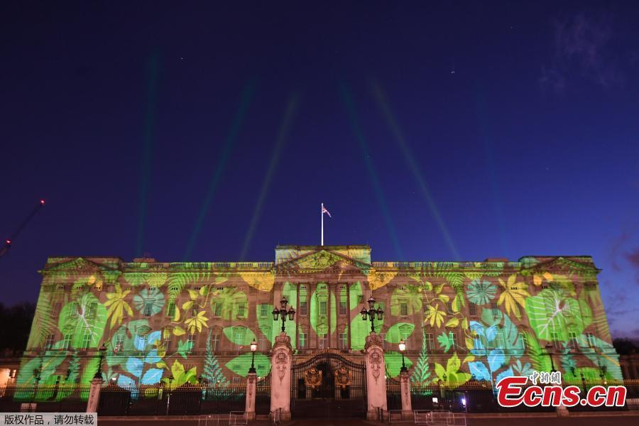 Buckingham Palace illuminated by rainforest projection