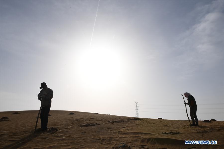 Workers devote themselves into desertification control of Kubuqi Desert in N China