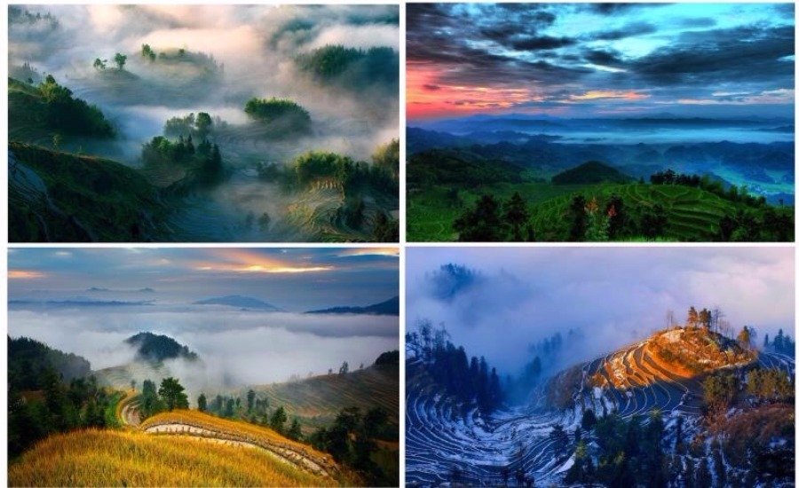 Ziquejie rice terraces awarded globally important designation